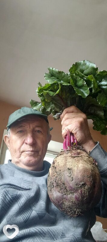 Владимир, Геленджик
