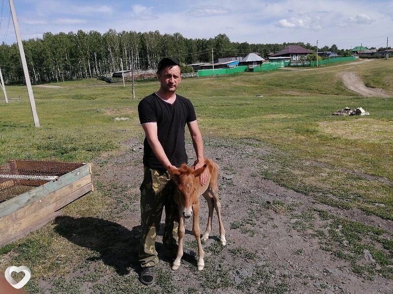 Сибастьян, 38, Норильске — анкета №4031597