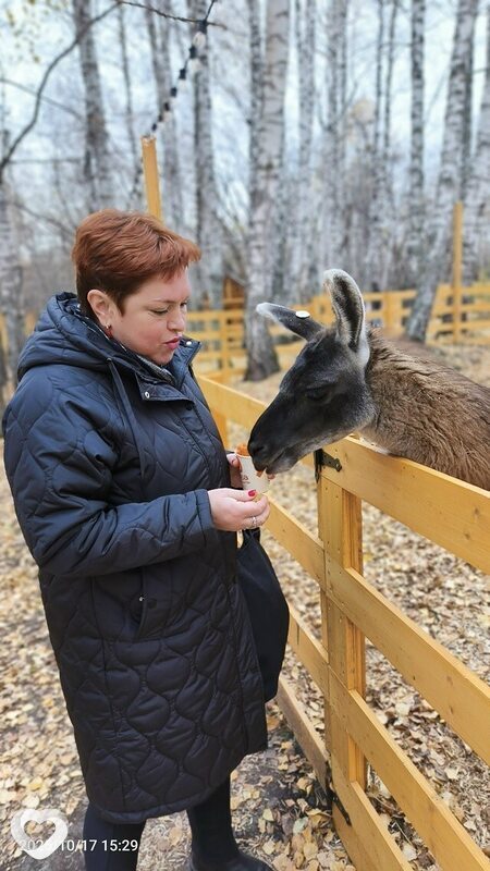 Lydmila, 48, Тюмени — анкета №4032024
