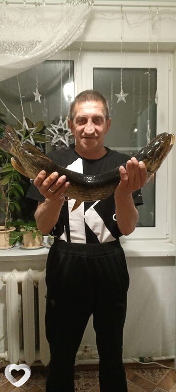 Леонид, Тосно