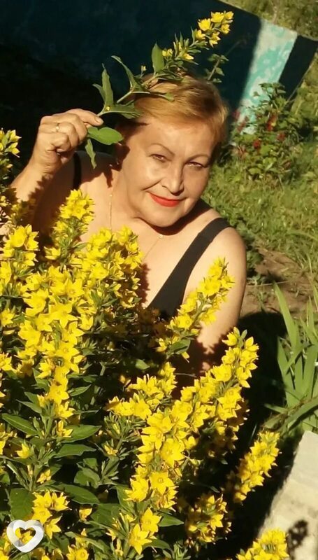Елена, Тула