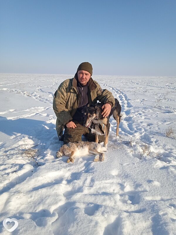 Марат, 41, Волгограде — анкета №4044668