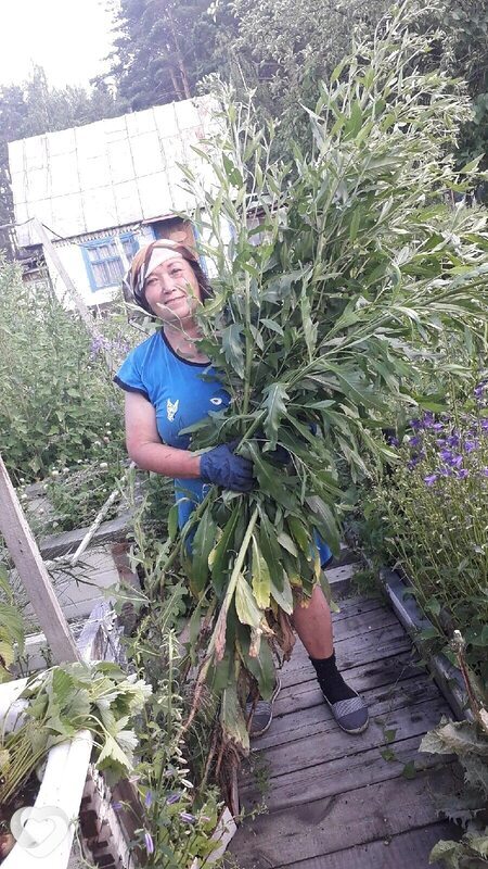 Татьяна, 63, Тюмени — анкета №4048306
