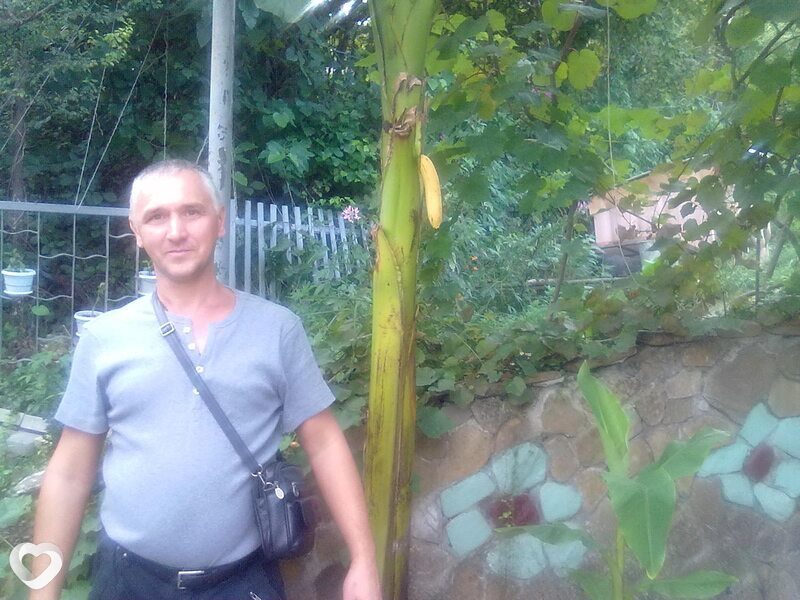 Владимир, 59, Ульяновске — анкета №4050644