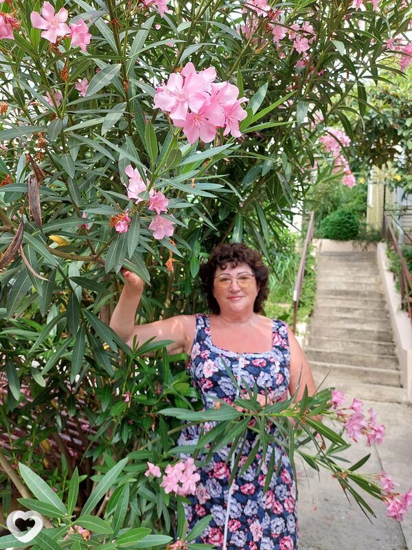 Елена, 66, Санкт-Петербурге — анкета №4053979