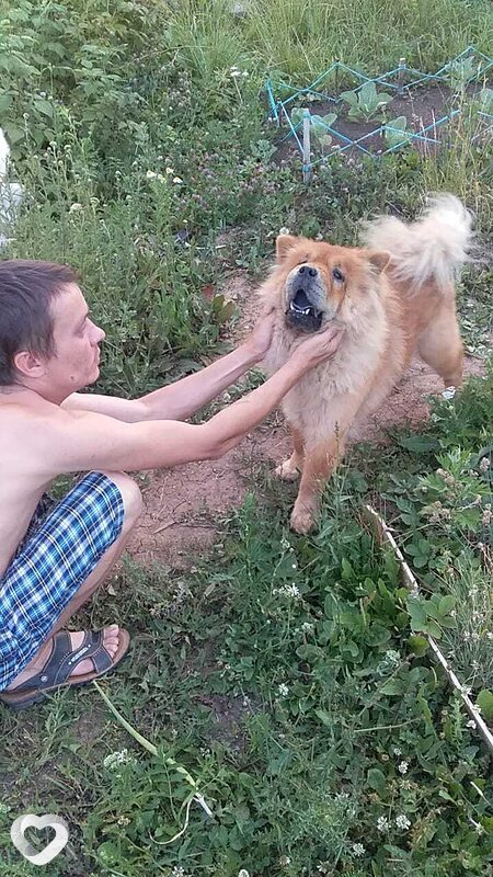 Артур, 38, Уфе — анкета №4059006