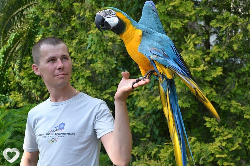 Андрей, 46, Ялте — анкета №4060596