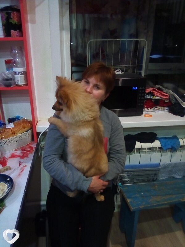 Марина, 45, Ржеве — анкета №4066041
