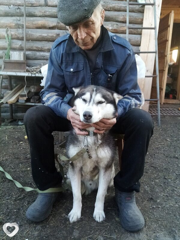 Виктор, 70, Новосибирске — анкета №4072100