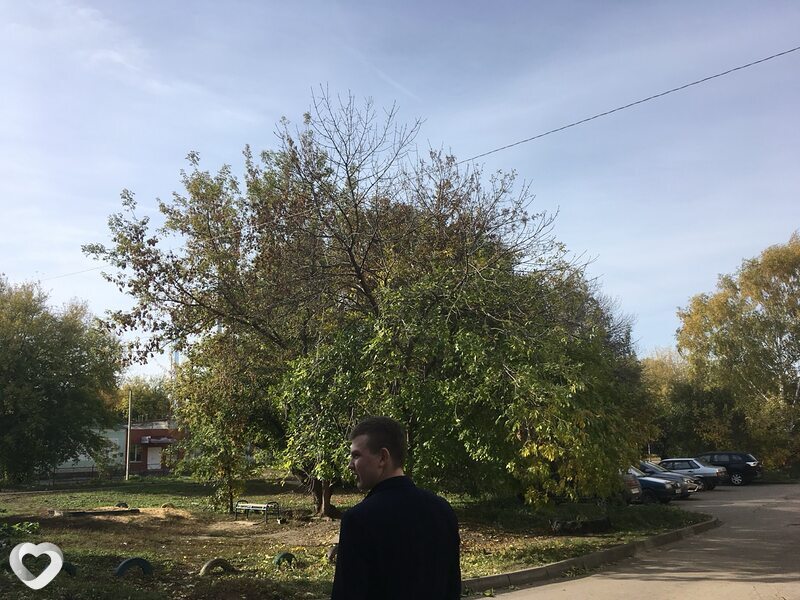 Павел, 25, Рязани — анкета №4075022