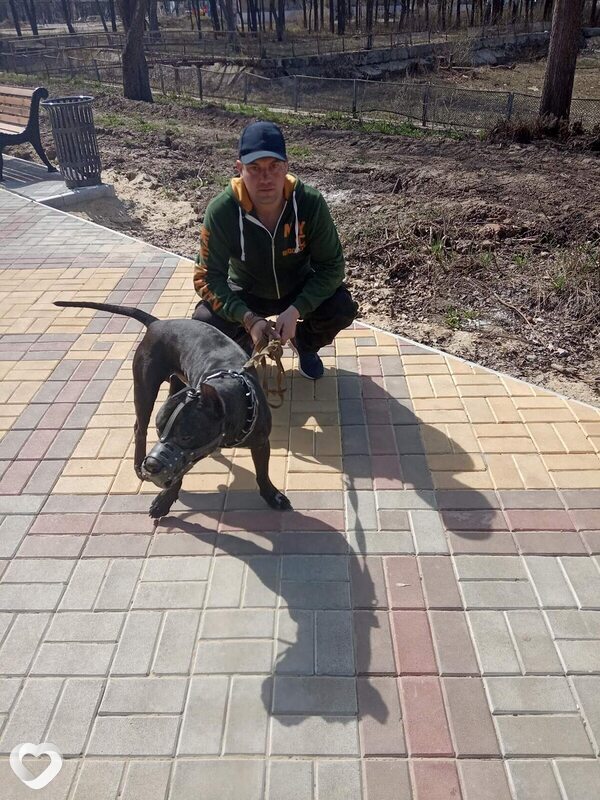 Александр, 39, Муроме — анкета №4080566