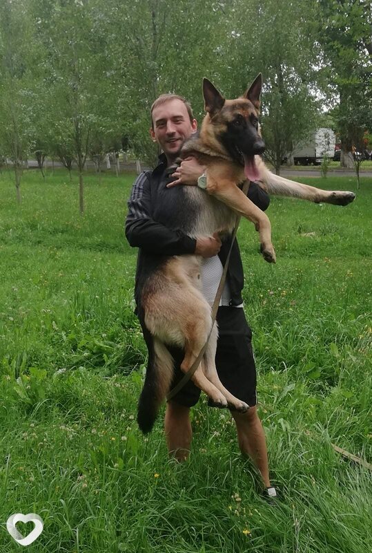 Максим, 36, Минске — анкета №4081046