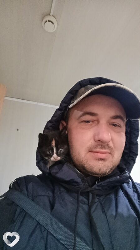 Иван, 36, Ростове-на-Дону — анкета №4085518