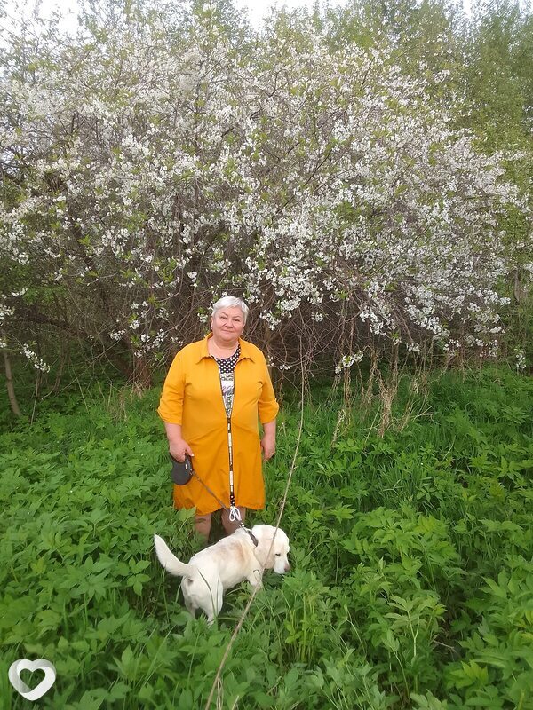Лариса, 63, Череповце — анкета №4087189