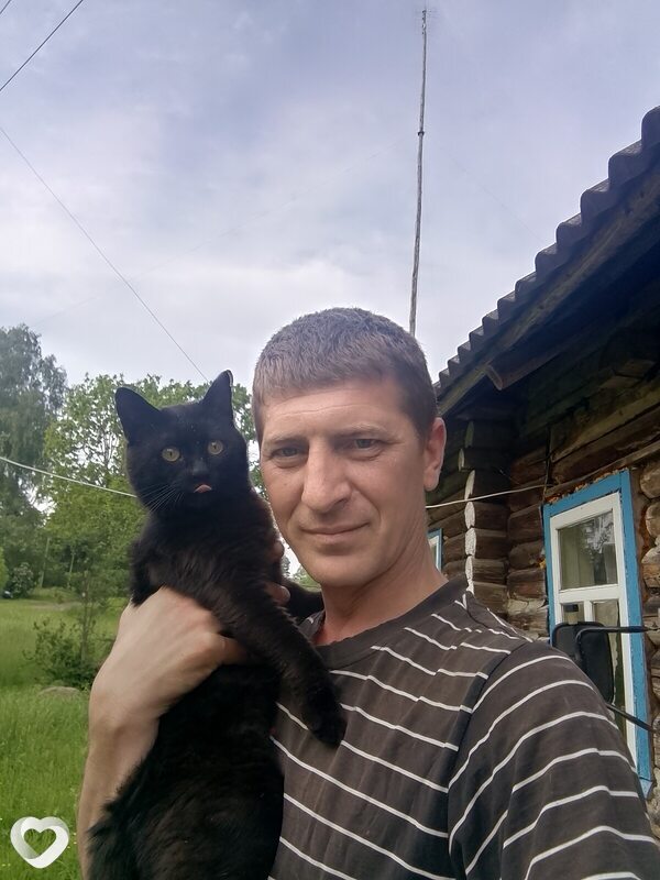 Дмитрий, Бешенковичи