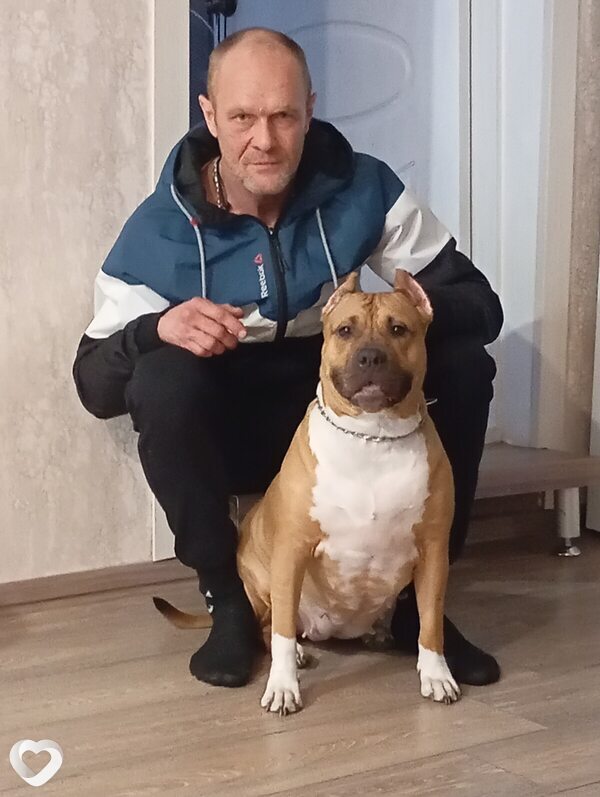 Дима, 44, Ульяновске — анкета №4098452