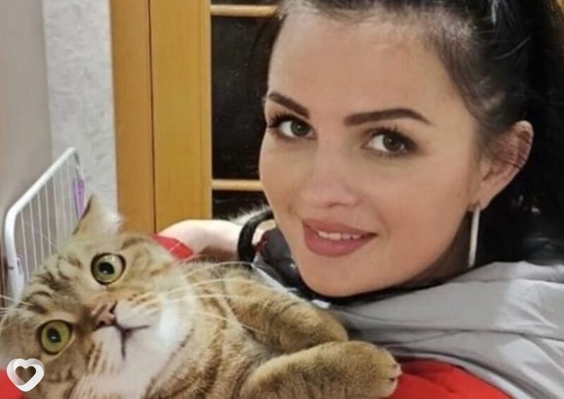 Алина, 29, Санкт-Петербурге — анкета №4104976