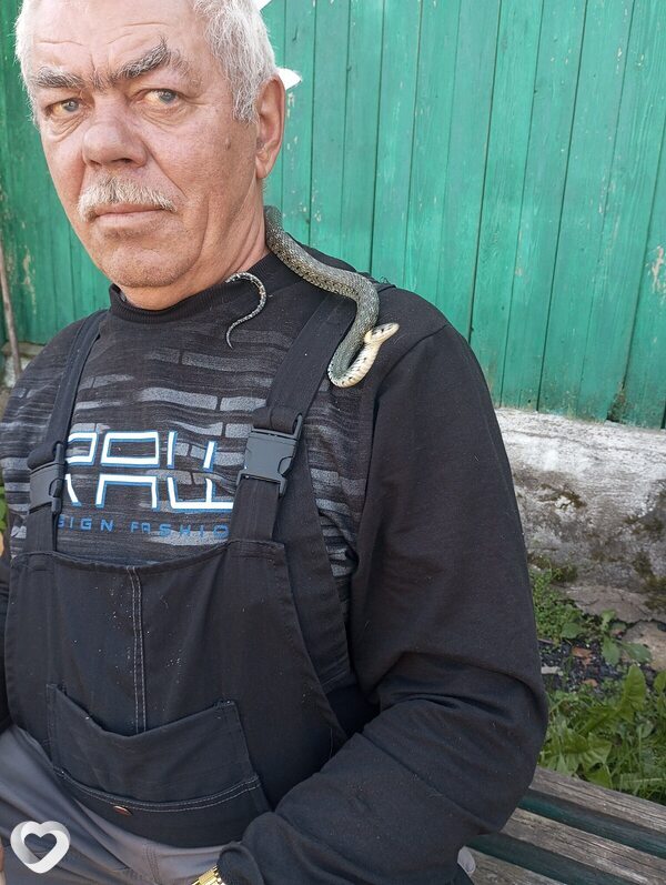 Виктор, Горки
