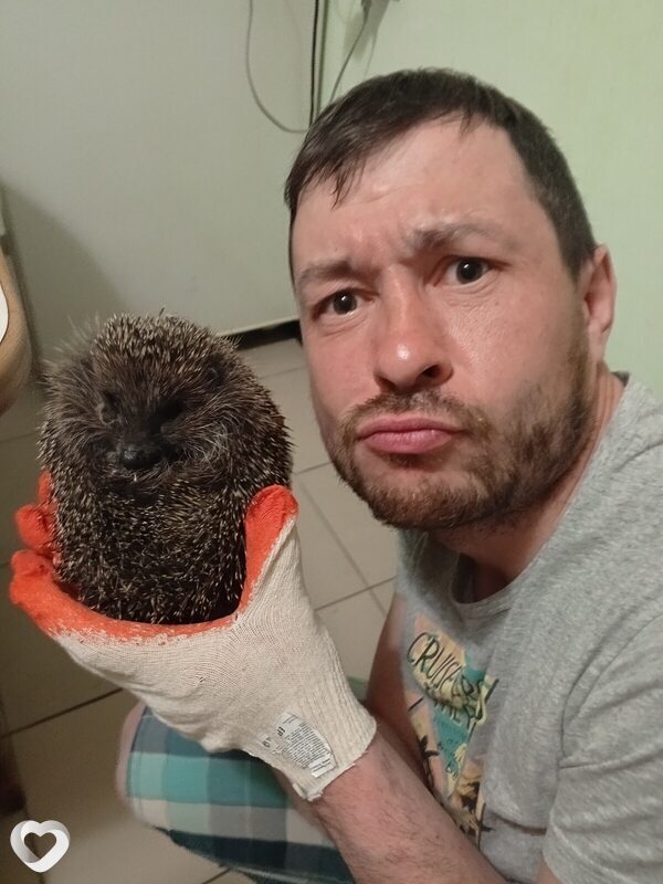 Илья, 37, Архангельске — анкета №4113243