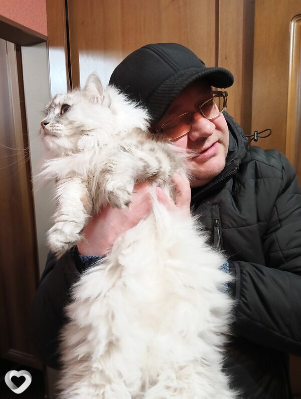 Анатолий, 41, Воронеже — анкета №4113611