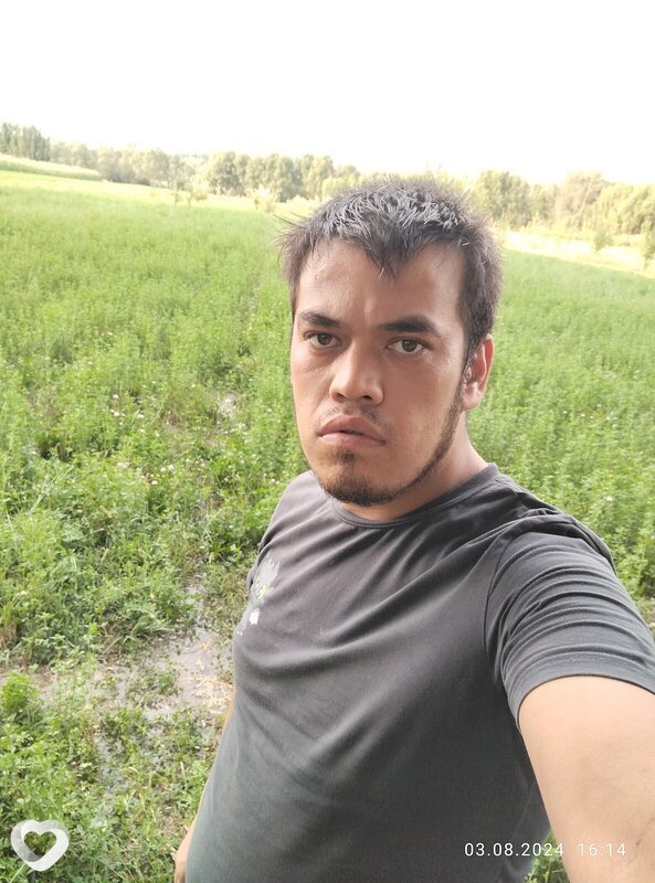 Имойиддин, Сясьстрой