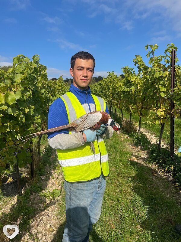 Ramziddin, 21, Ташкент — анкета №4122157
