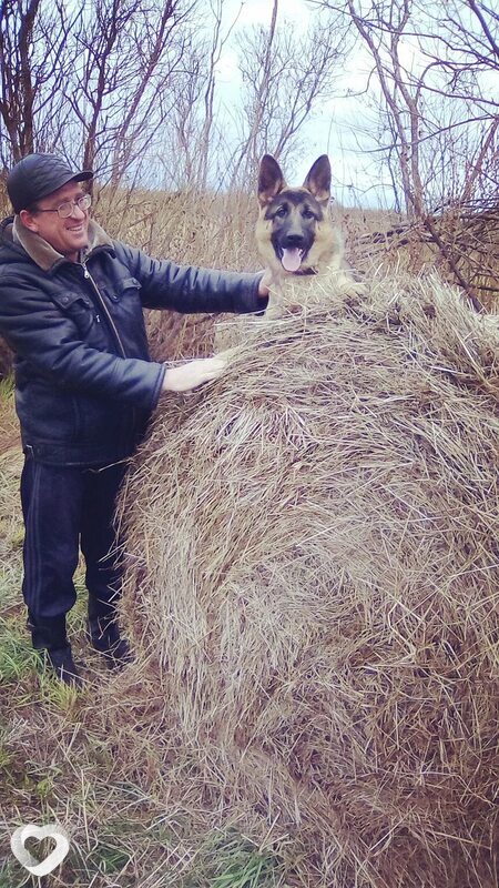 Александр, 49, Талице — анкета №4124547