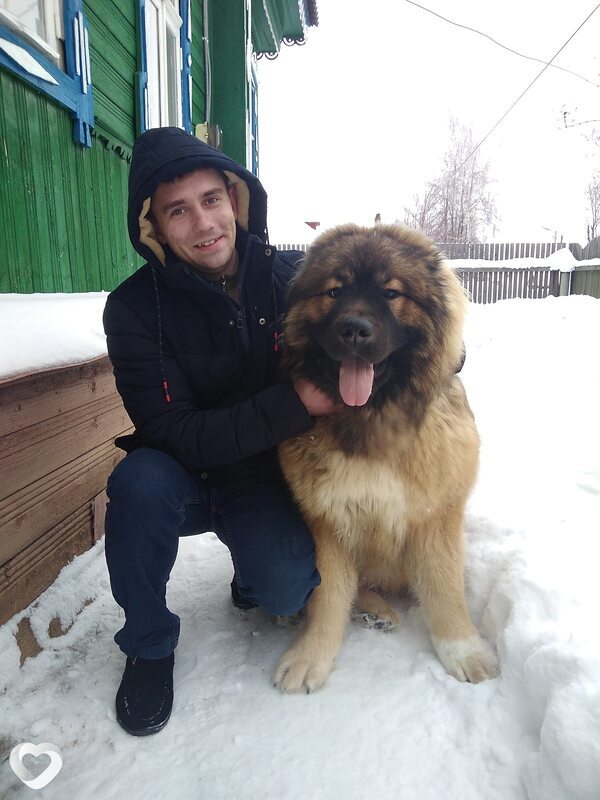 Владимир, Заволжск