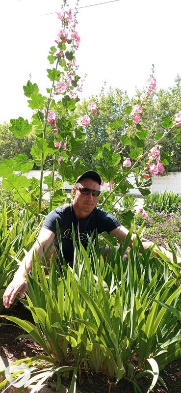 Дмитрий, 37, Глазове — анкета №4131293