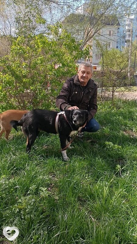 Александр, 65, Самаре — анкета №4131839