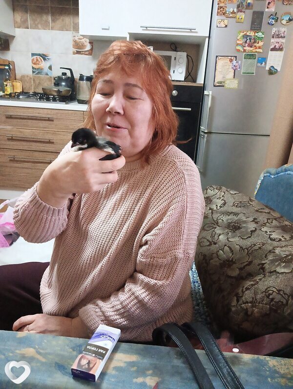 Лариса, 53, Череповце — анкета №4140235