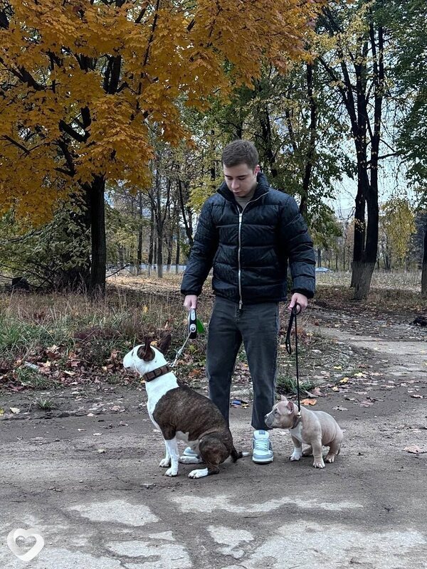 Александр, 37, Иванове — анкета №4148167