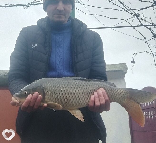 Михайло, 43, Кривое Роге — анкета №4149935