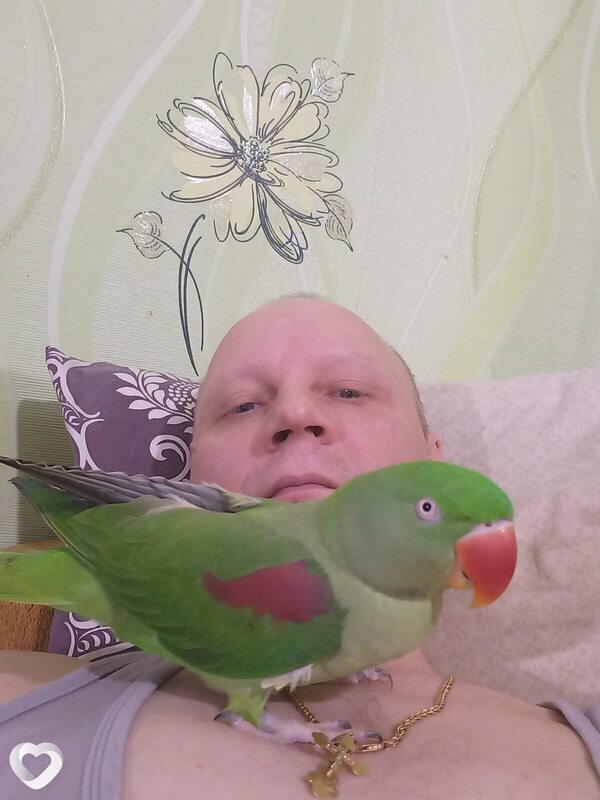 Сергей, 48, Луге — анкета №4154668