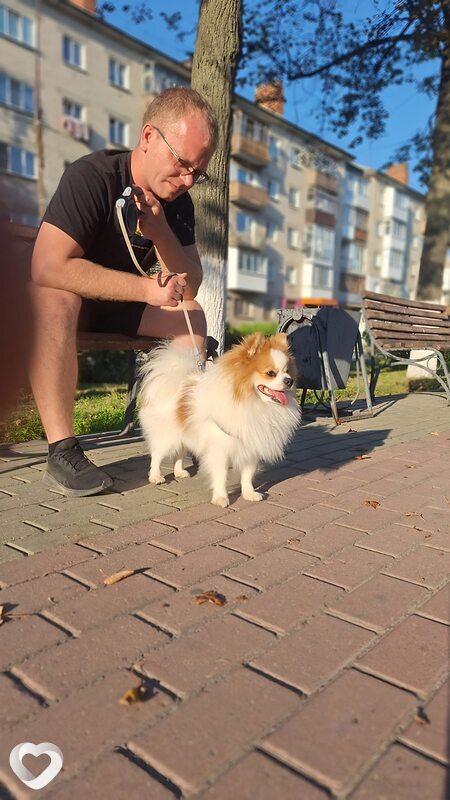 Дмитрий, 33, Нижнем Новгороде — анкета №4156328