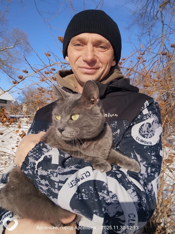 Алексей, 37, Арсеньеве — анкета №4156291