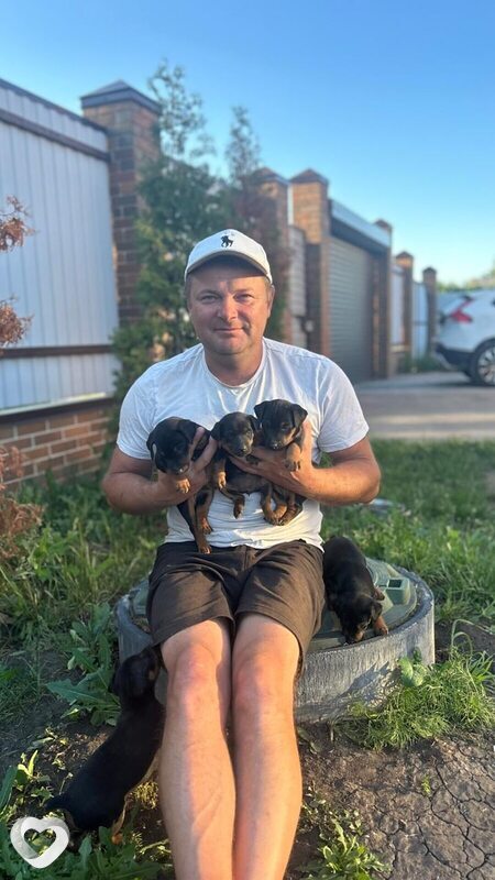 Александр, 37, Воронеже — анкета №4156617