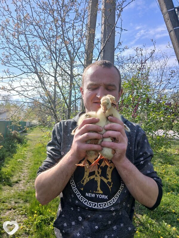 Андрій, Гайсин