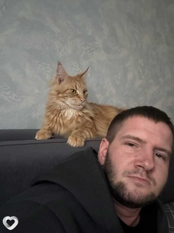 Danila, 30, Волгограде — анкета №4170615