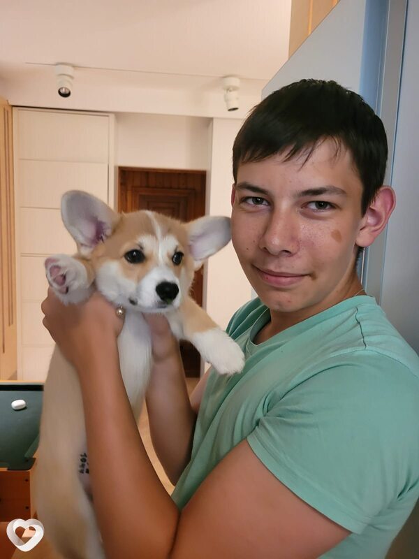 Власенко Михаил, 18, Москве — анкета №4171407