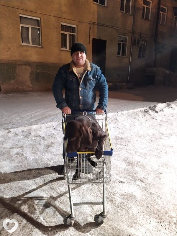 Lev, 45, Новосибирске — анкета №4171257