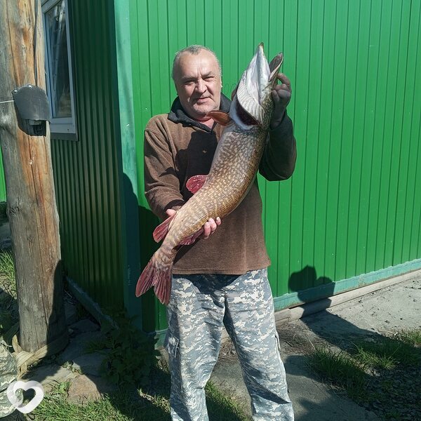 Slava, 62, Красноярске — анкета №4176315