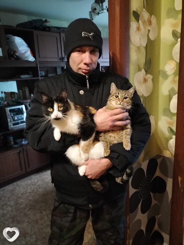 Владимир, 36, Узловой — анкета №4177090