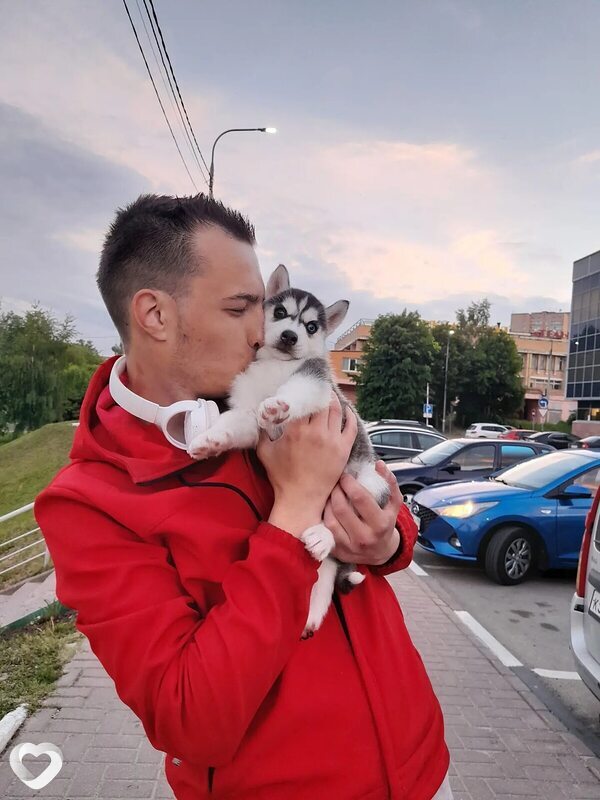 Алексей, 26, Клине — анкета №4177284