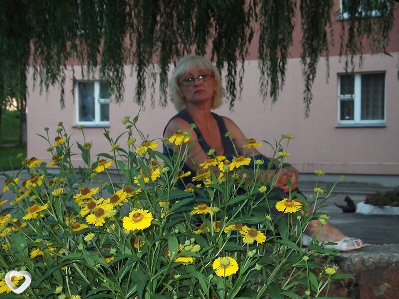 Екатерина, 64, Витебске — анкета №4179002