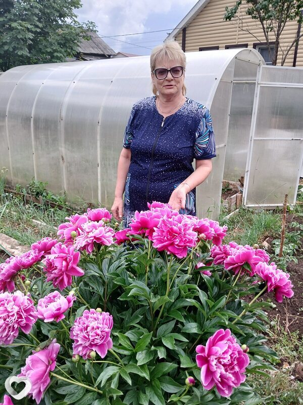 Alex, 56, Ижевске — анкета №4184643