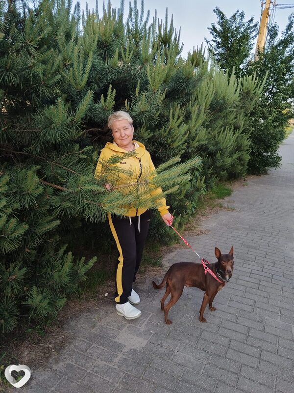 Людмила, 61, Бобруйске — анкета №4185264