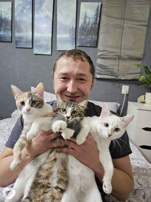 Алексей, 44, Иванове — анкета №4187147