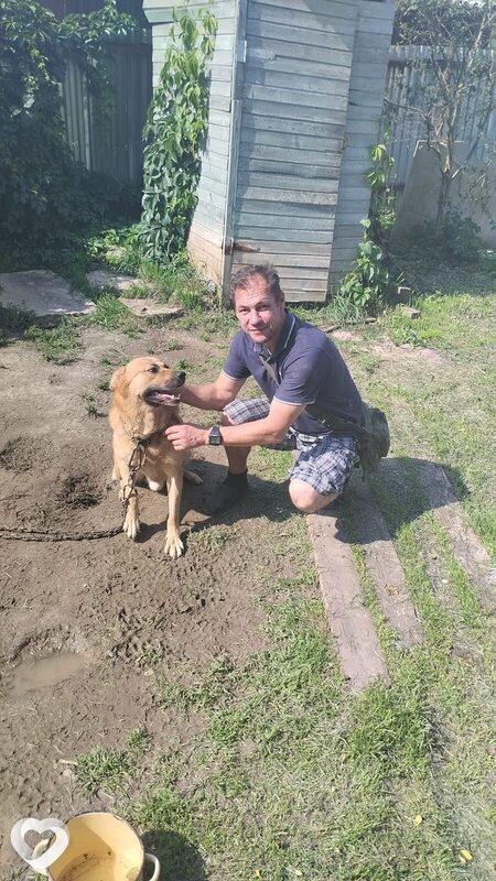 Виктор, Ермолино
