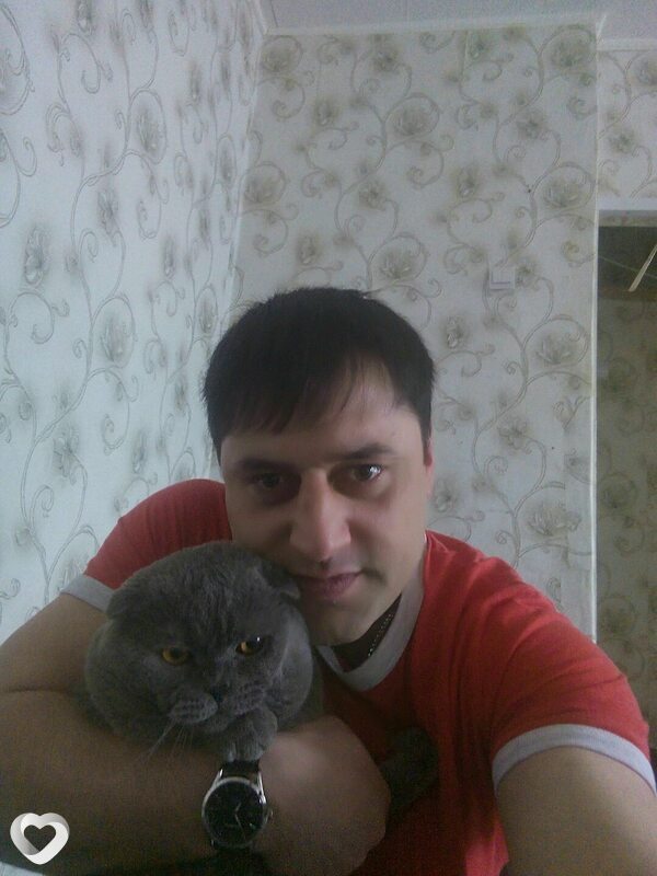Давид, Ногинск